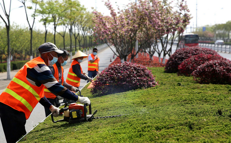 園林綠化養(yǎng)護(hù)的基本工作都有什么要求？